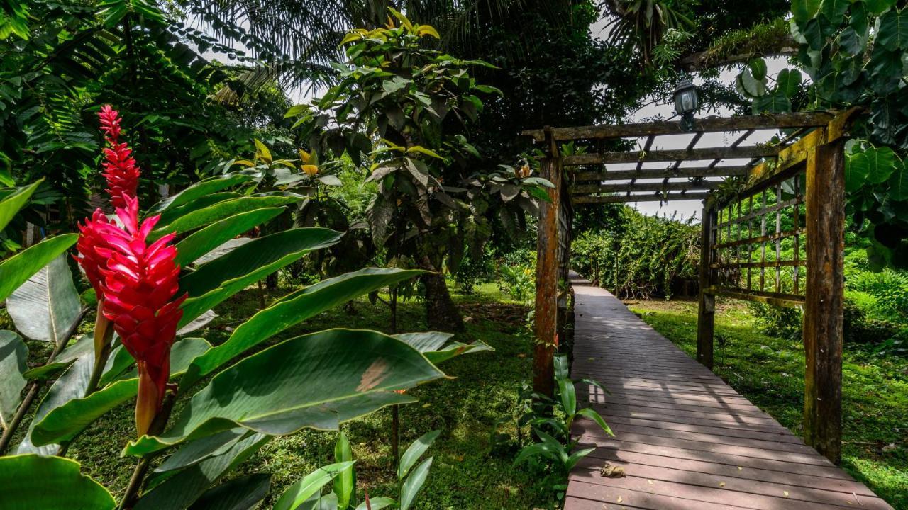 Bambuda Lodge Solarte Ngoại thất bức ảnh