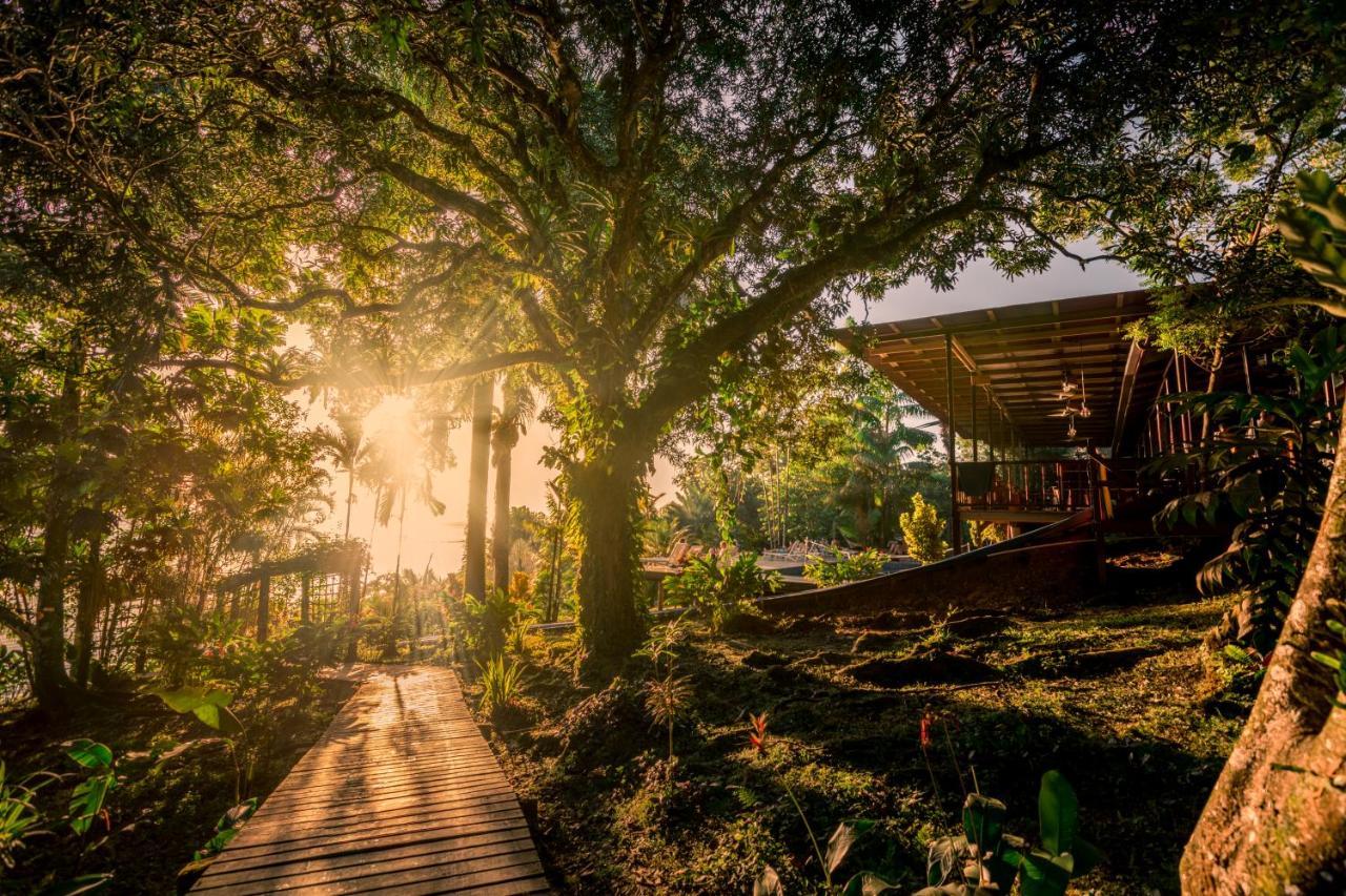 Bambuda Lodge Solarte Ngoại thất bức ảnh