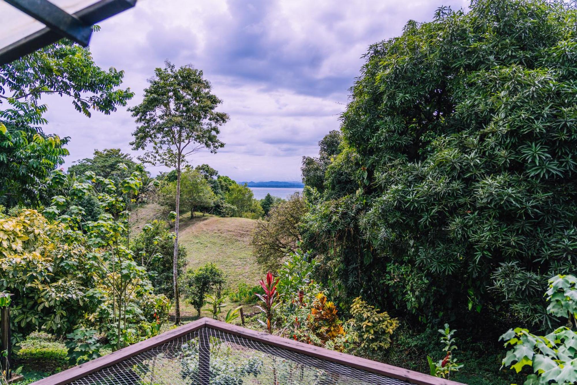 Bambuda Lodge Solarte Phòng bức ảnh